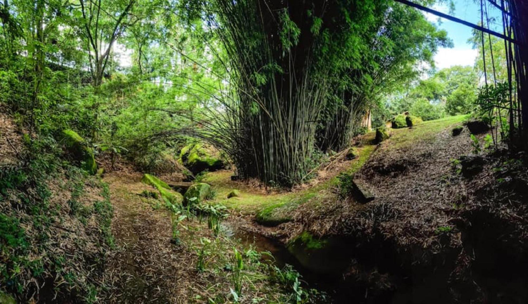 Hospedaria Vida Na Roca São Bento do Sapucaí Dış mekan fotoğraf